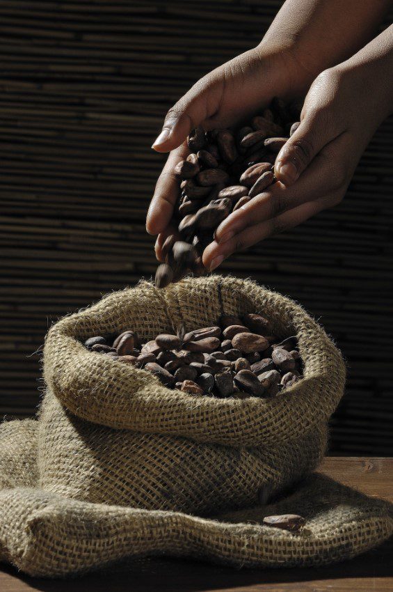 Savon naturel artisanal à base de beurre de cacao biologique, France